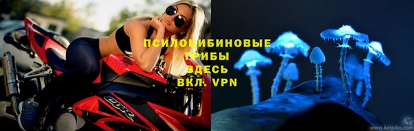ECSTASY Аркадак