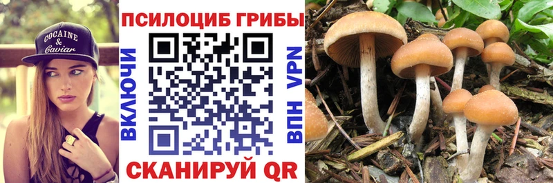 Псилоцибиновые грибы прущие грибы  Покровск 